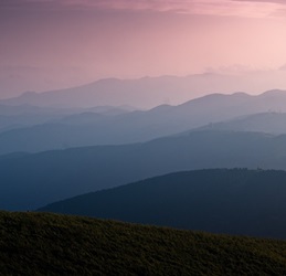 Don't Come See Me if You...